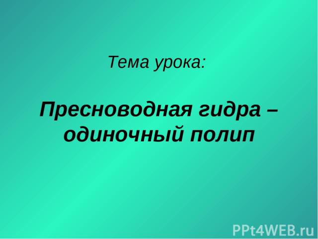 Кракен пользователь не найден